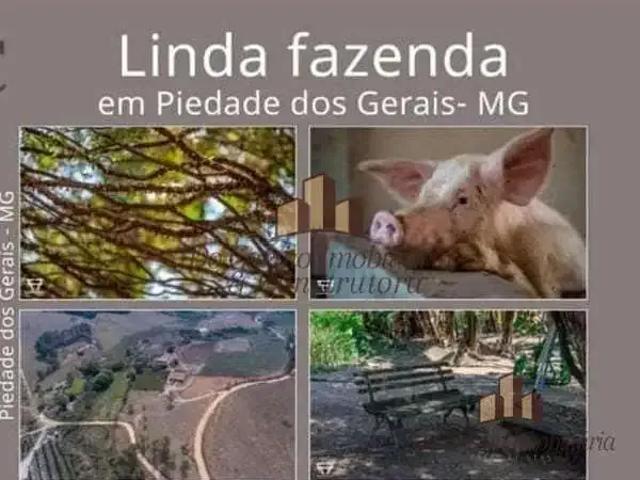 Sítio e chácara venda em Região Geográfica Imediata de Oliveira, Piedade dos Gerais