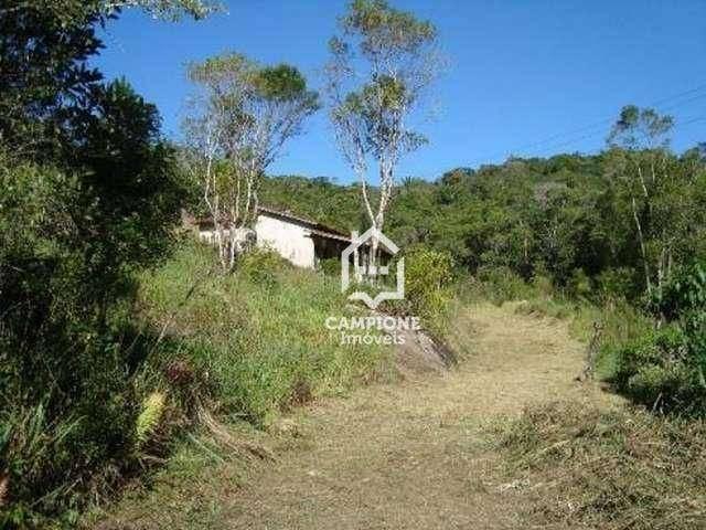 Sítio e chácara venda em Região Imediata de Itapeva, Itapeva