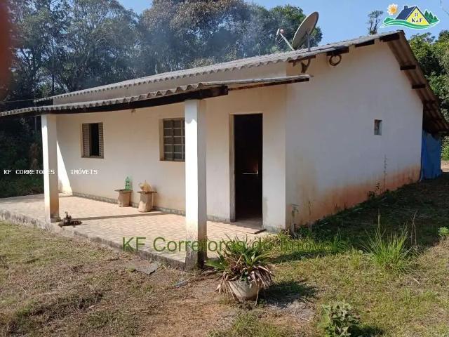 Sítio e chácara venda em Vila Quintino, Piedade