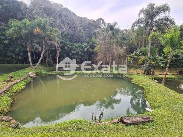 Sítio e chácara venda em Vila Quintino, Piedade