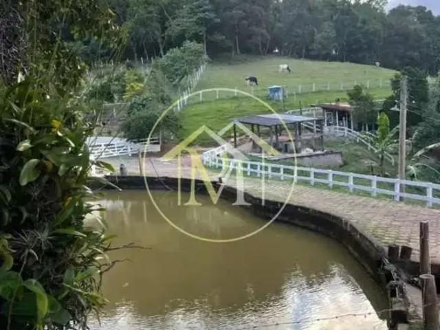 Sítio e chácara venda em Região Imediata de Itapeva, Itapeva