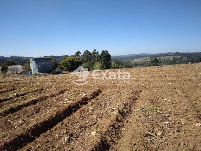 Sítio e chácara venda em Sarapuí do Caffaro, Piedade