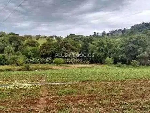 Sítio e chácara venda em Região Imediata de Itapeva, Itapeva