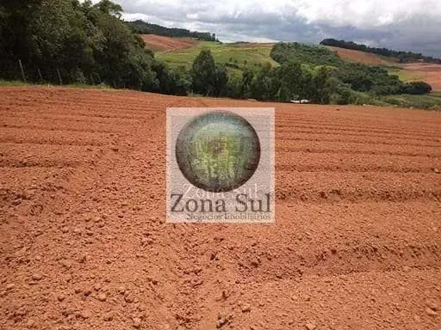 Sítio e chácara venda em Vila Nova, Piedade