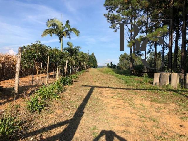 Sítio e chácara venda em Piedade, Região Geográfica Intermediária de Sorocaba