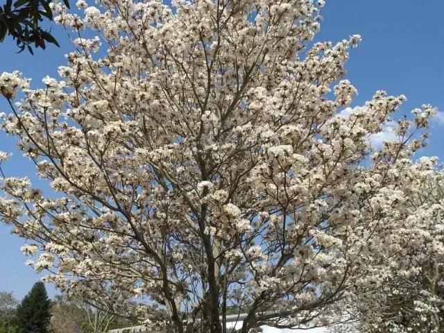 Sítio e chácara venda em Região Imediata de Sorocaba, Região Metropolitana de Sorocaba