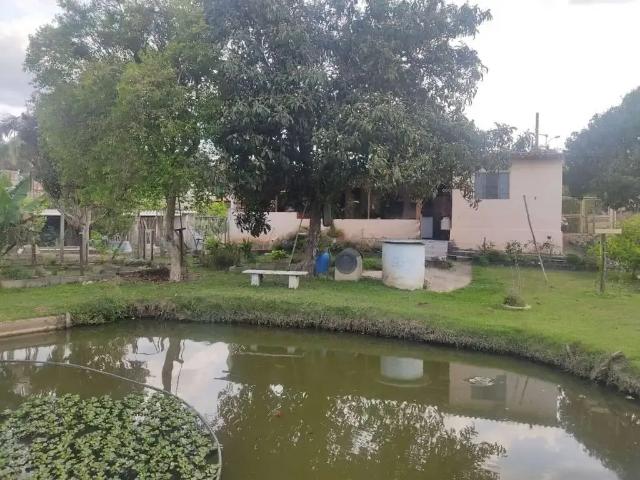 Sítio e chácara venda em Vila Quintino, Piedade