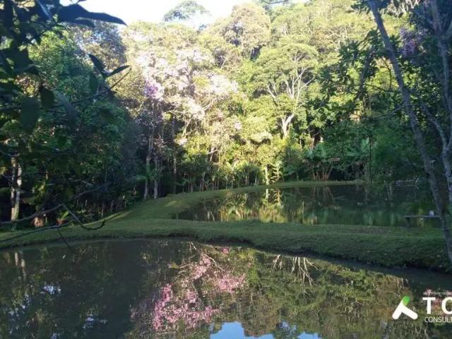 Sítio e chácara venda em Juruparazinho, Piedade