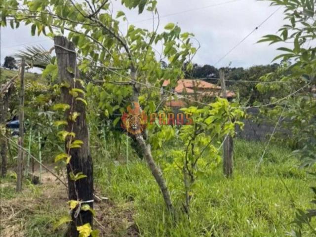 Sítio e chácara venda em Quintas Vieira de Camargo, Piedade
