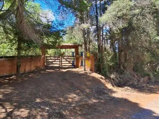 Sítio e chácara venda em Sarapuí dos Luzes, Piedade