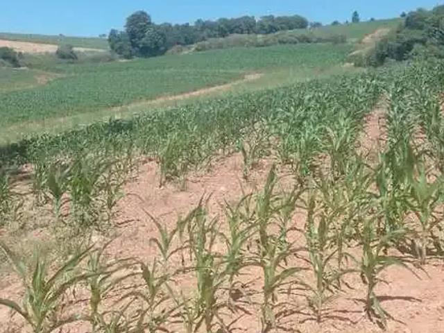 Sítio e chácara venda em Região Imediata de Sorocaba, Região Metropolitana de Sorocaba