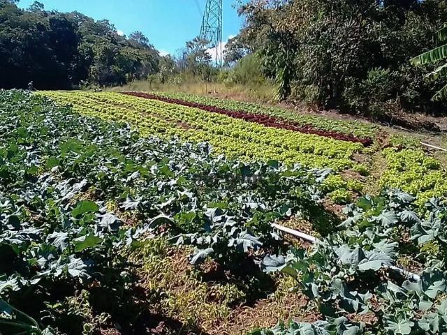 Sítio e chácara venda em Região Imediata de Sorocaba, Região Metropolitana de Sorocaba