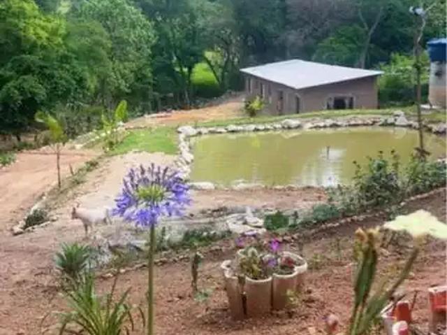 Sítio e chácara venda em Vila Quintino, Piedade