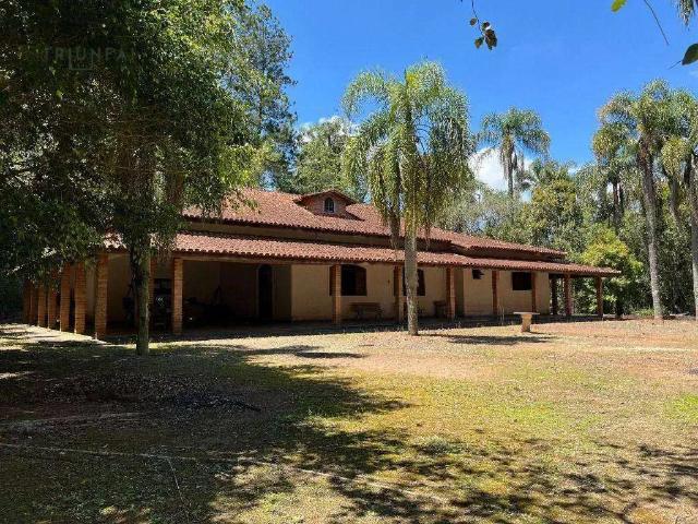 Sítio e chácara venda em Vila Quintino, Piedade