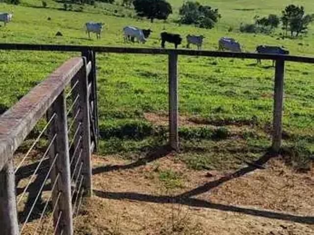Sítio e chácara venda em Região Imediata de Sorocaba, Região Metropolitana de Sorocaba
