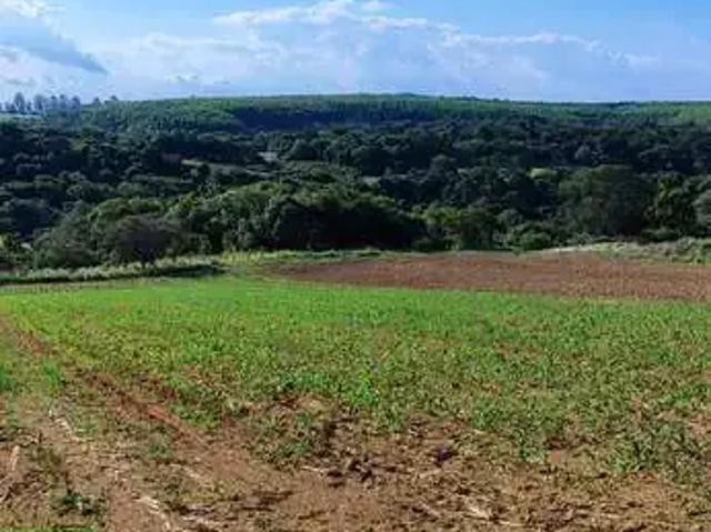 Sítio e chácara venda em Vila Quintino, Piedade