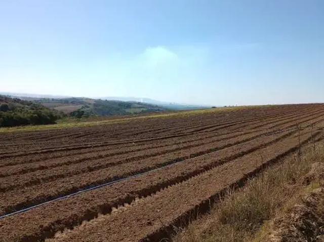 Sítio e chácara venda em Vila Quintino, Piedade