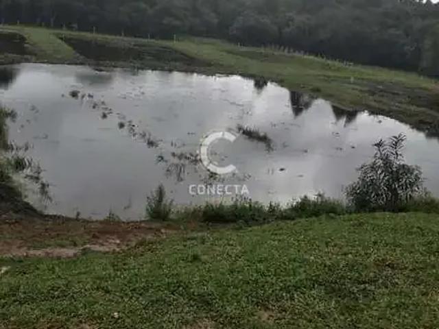 Sítio e chácara venda em Região Geográfica Imediata de Curitiba, Região Metropolitana de Curitiba