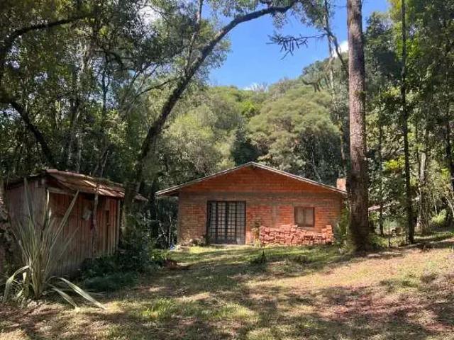 Sítio e chácara venda em Região Geográfica Imediata de Curitiba, Região Metropolitana de Curitiba