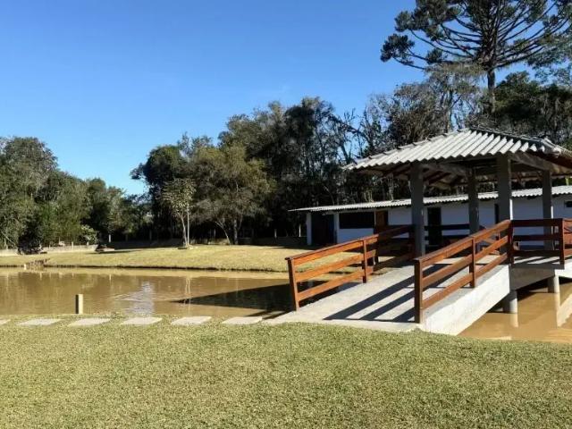 Sítio e chácara venda em Região Geográfica Imediata de Curitiba, Pien