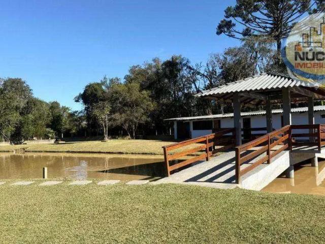 Sítio e chácara venda em Piên, Região Geográfica Intermediária de Curitiba