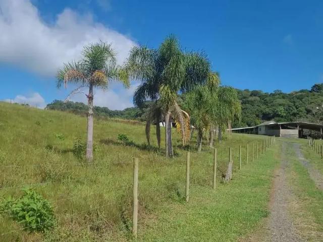Sítio e chácara venda em Piên, Região Geográfica Intermediária de Curitiba