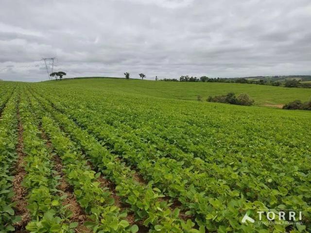 Sítio e chácara venda em Região Imediata de Sorocaba, Região Metropolitana de Sorocaba