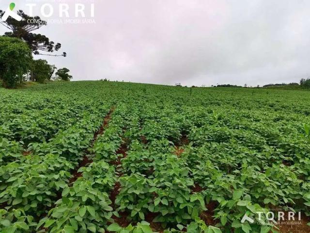 Sítio e chácara venda em Região Imediata de Sorocaba, Região Metropolitana de Sorocaba
