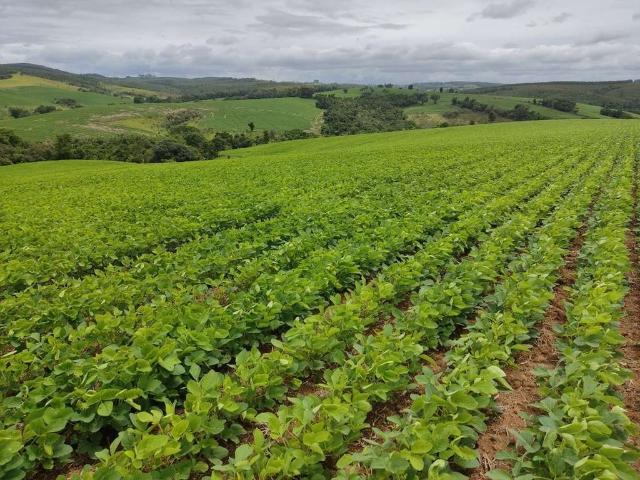 Sítio e chácara venda em Pilar do Sul