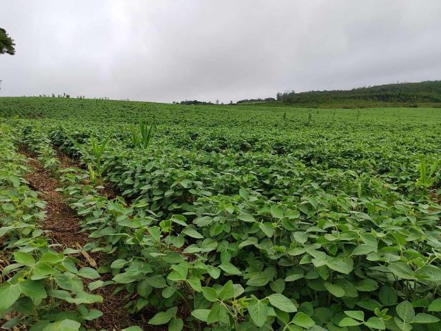 Sítio e chácara venda em Região Imediata de Sorocaba, Região Metropolitana de Sorocaba