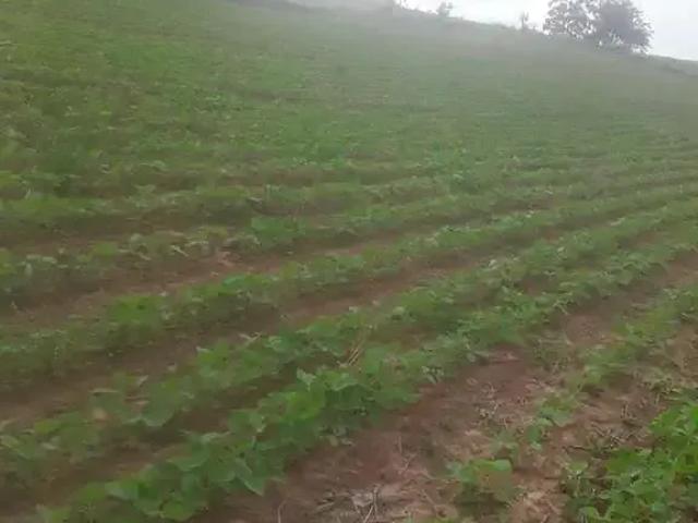 Sítio e chácara venda em Região Imediata de Sorocaba, Região Metropolitana de Sorocaba