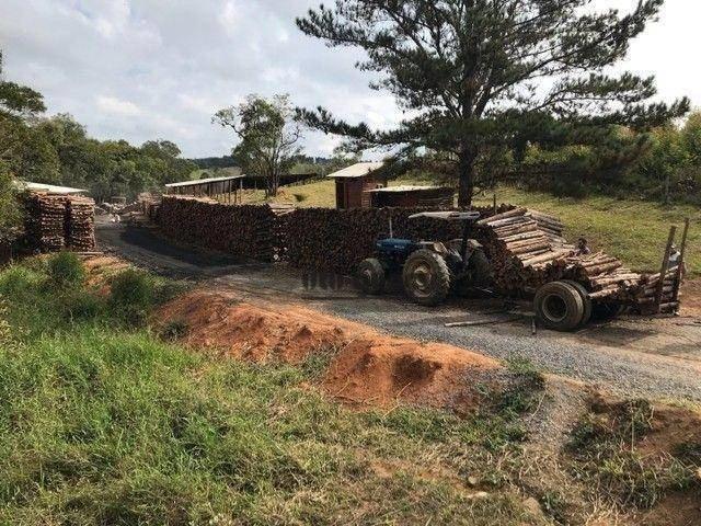 Sítio e chácara venda em Região Imediata de Sorocaba, Região Metropolitana de Sorocaba