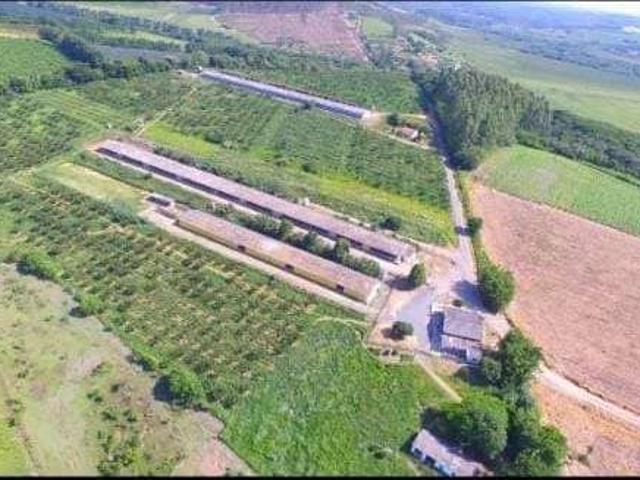 Sítio e chácara venda em Região Imediata de Sorocaba, Região Metropolitana de Sorocaba