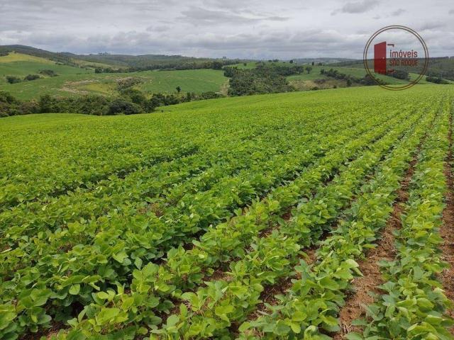 Sítio e chácara venda em Região Imediata de Sorocaba, Região Metropolitana de Sorocaba