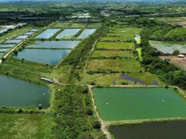 Sítio e chácara venda em Região Geográfica Imediata de João Pessoa, Região Metropolitana de João Pessoa