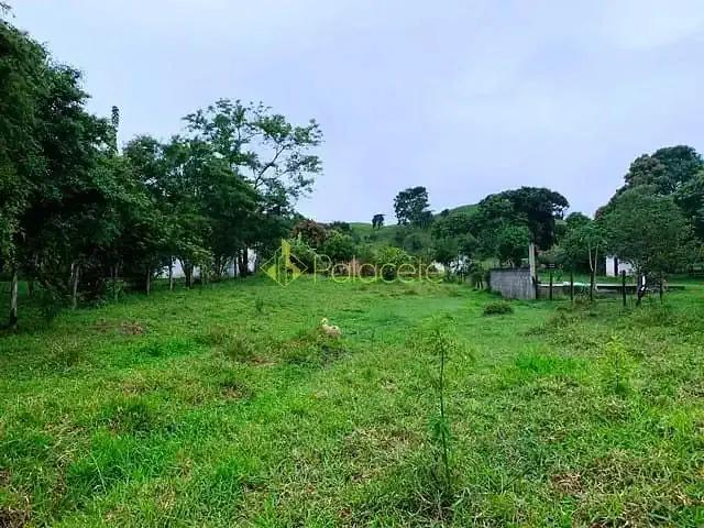 Sítio e chácara venda em Região Imediata de Taubaté-Pindamonhangaba, Região Metropolitana do Vale do Paraíba e Litoral Norte