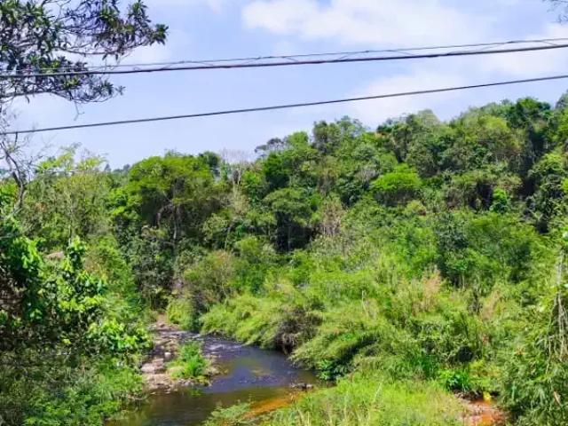 Sítio e chácara venda em Região Imediata de Taubaté-Pindamonhangaba, Região Metropolitana do Vale do Paraíba e Litoral Norte