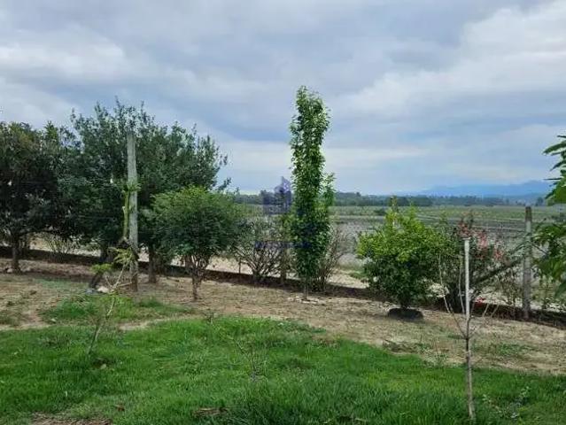 Sítio e chácara venda em Região Imediata de Taubaté-Pindamonhangaba, Região Metropolitana do Vale do Paraíba e Litoral Norte