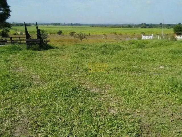 Sítio e chácara venda em Região Imediata de Taubaté-Pindamonhangaba, Região Metropolitana do Vale do Paraíba e Litoral Norte