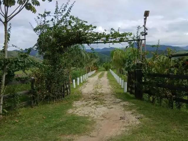 Sítio e chácara venda em Região Imediata de Taubaté-Pindamonhangaba, Região Metropolitana do Vale do Paraíba e Litoral Norte