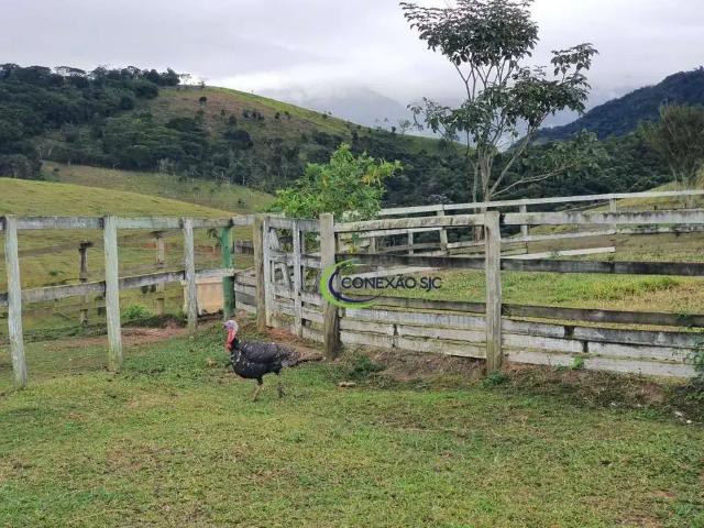 Sítio e chácara venda em Região Imediata de Itapeva, Ribeirão Grande