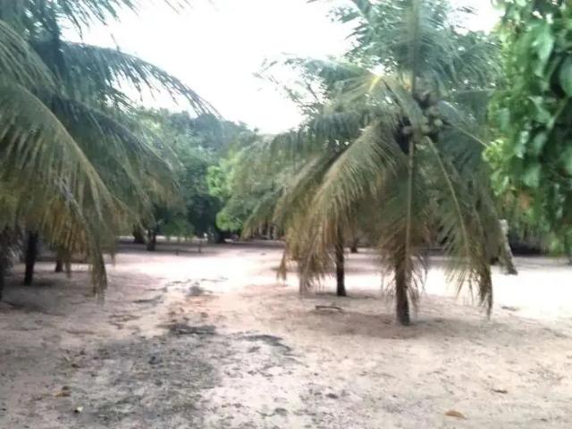 Sítio e chácara venda em Região Geográfica Imediata de Fortaleza, Pindoretama