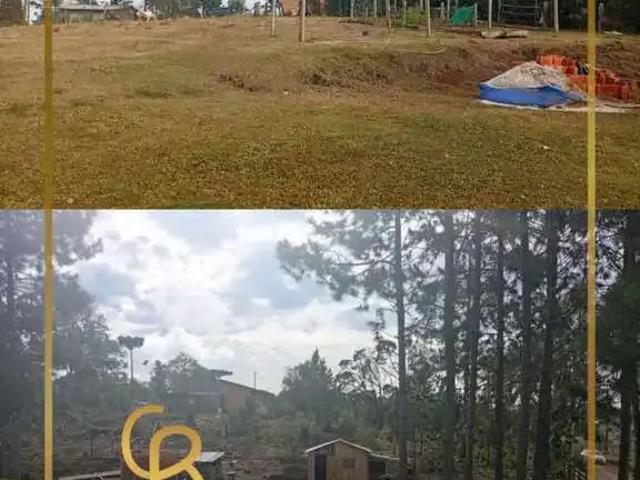 Sítio e chácara venda em Região Geográfica Imediata de Guarapuava, Pinhão