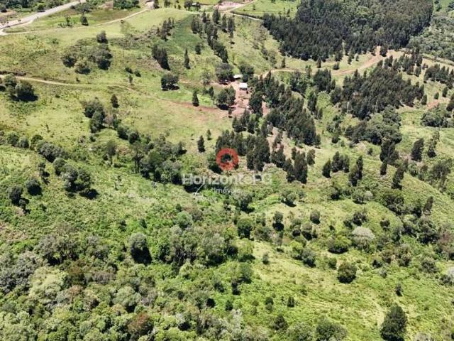Sítio e chácara venda em Pinhão, Região Geográfica Intermediária de Guarapuava