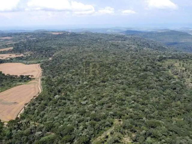 Sítio e chácara venda em Região Geográfica Imediata de Guarapuava, Pinhão