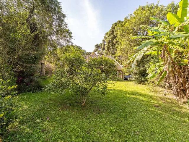 Sítio e chácara venda em Região Geográfica Imediata de Curitiba, Região Metropolitana de Curitiba