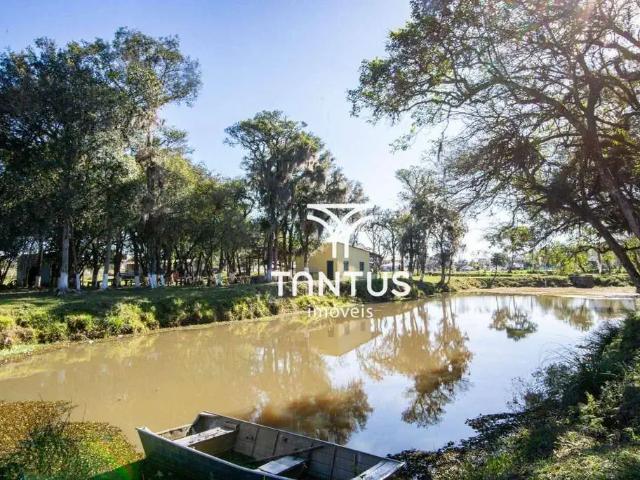 Sítio e chácara venda em Região Geográfica Imediata de Curitiba, Região Metropolitana de Curitiba