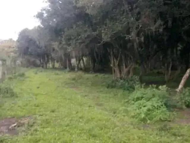 Sítio e chácara venda em Região Geográfica Imediata de Curitiba, Região Metropolitana de Curitiba