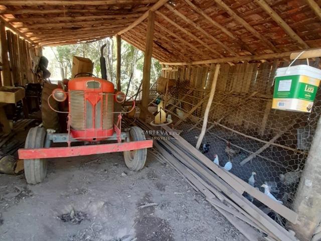 Sítio e chácara venda em Região Imediata de Bragança Paulista, Pinhalzinho