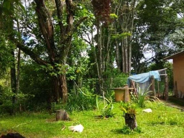 Sítio e chácara venda em Pedra Bela